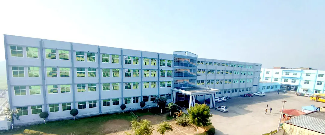 National College of Ayurved Hisar